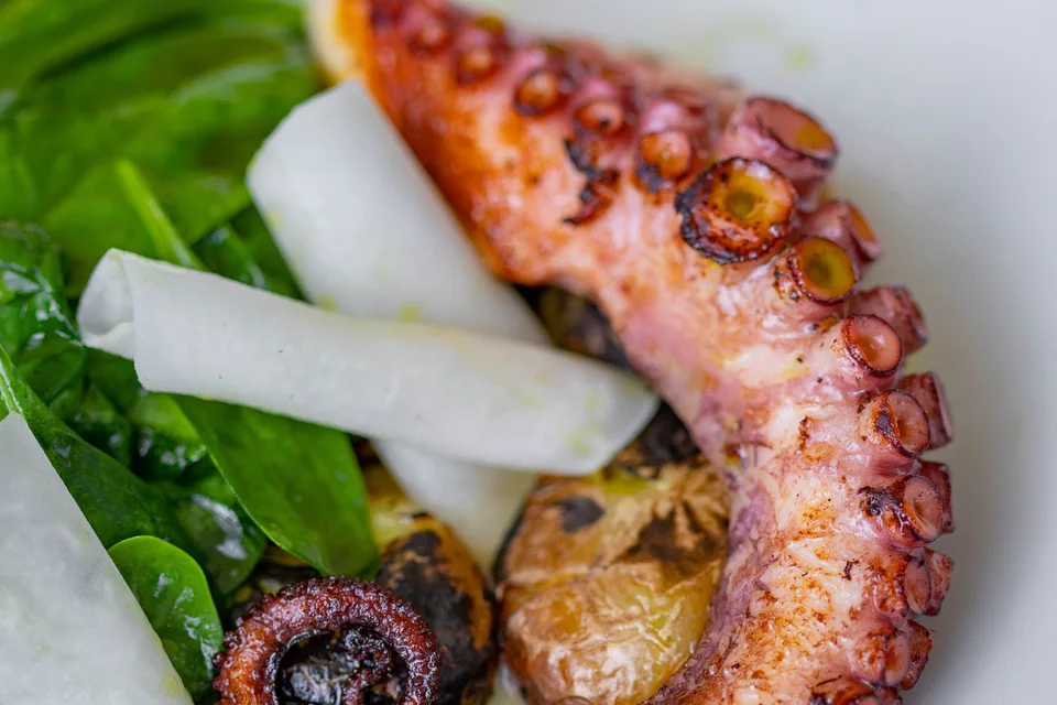 BookNoFees: Piemēra fotoattēls: Grilēts astoņkājis