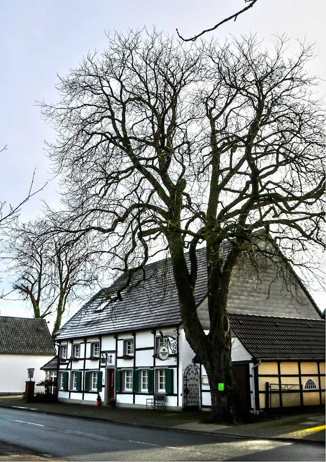 BookNoFees: Restorāns – Gaststätte Ziegler – Lippetal – Restorāns „Ziegler“, foto 1
