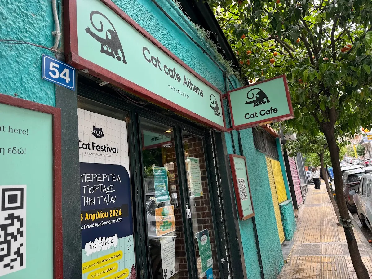 BookNoFees: Kafejnīca – Cat Cafe Athens – Athens – Kaķu kafejnīca Atēnās, foto 1