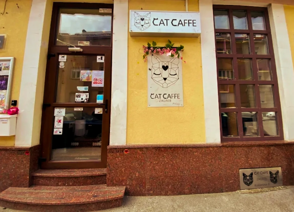 BookNoFees: Kafejnīca – Cat Caffe – Zagreb – „Cat Caffe“, foto 1