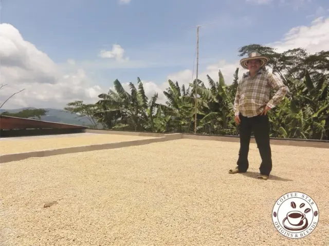 BookNoFees: Kafejnīca – Coffee Star Origins & Blends – Berlin – Coffee Star Origins & Blends, foto 2