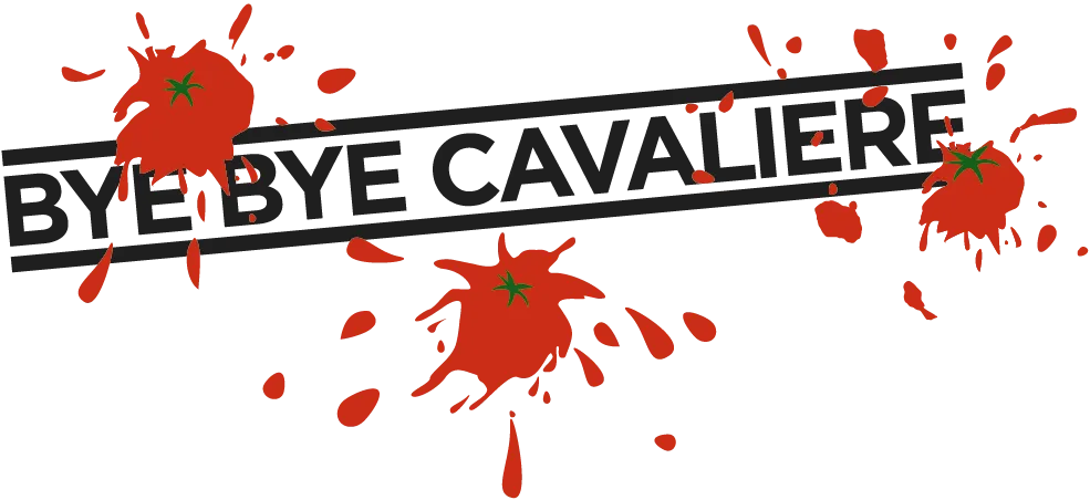 BookNoFees: Uzkodu bārs – Bye Bye Cavaliere – Berlin – Ardievas, kavalier!, foto 1