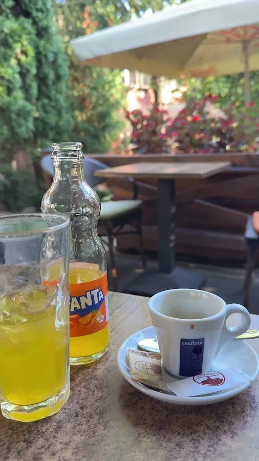 BookNoFees: Kafejnīca – Forest Caffe – Belgrade – Forest Caffe, foto 3