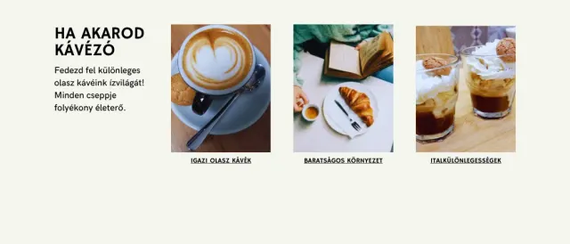 BookNoFees: Kafejnīca – Cherubino Espresso Bar – Budapest – „Cherubino“ espresso bārs, foto 3