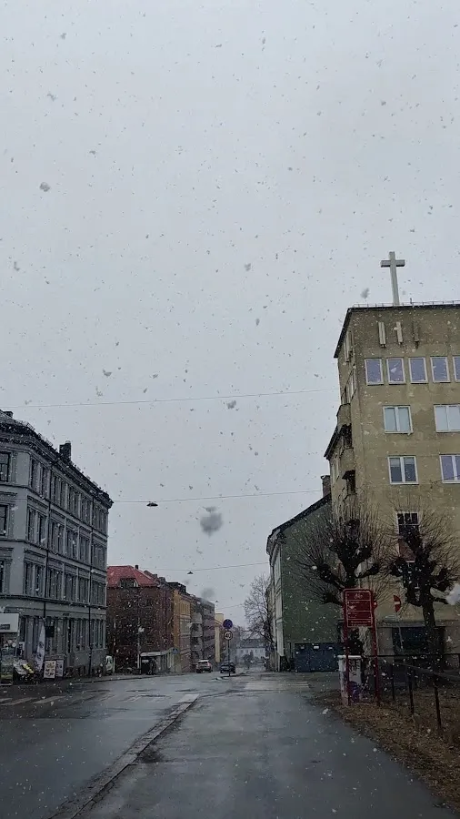 BookNoFees: Maiznīca – Norð Bjølsen – Oslo – Norð Bjølsen, foto 2