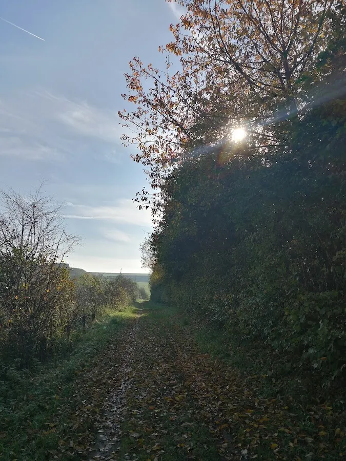 BookNoFees: Restorāns – Erlingser Treff – Marsberg – Erlingser Treff, foto 1
