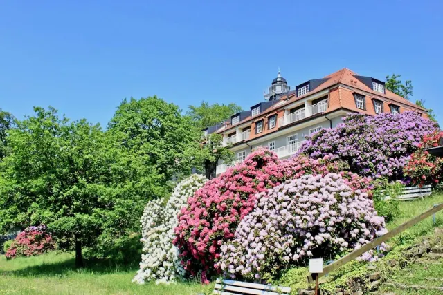 BookNoFees: Brīvdienu dzīvoklis „Daba un māksla”, Drēzdene, Saksijas Šveice – Dresden