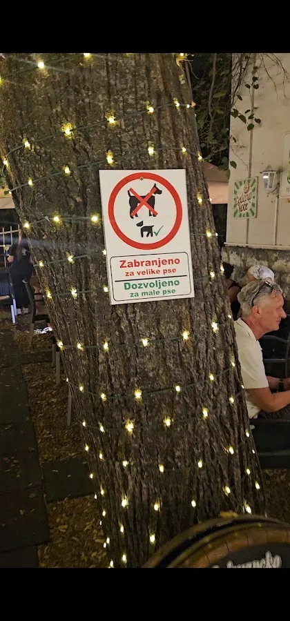 BookNoFees: Kafejnīca – Caffe Galerija Priča – Belgrade – Kafejnīca „Galerija Priča“, foto 2