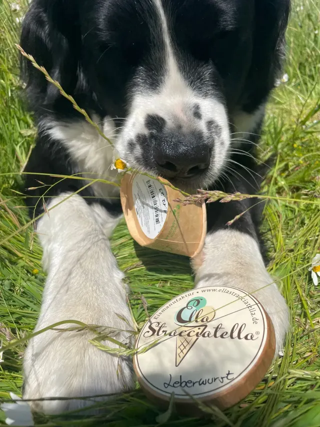 BookNoFees: Saldējums – Ella Stracciatella Eismanufaktur – Iserlohn – Ella Stracciatella Eismanufaktur, foto 3