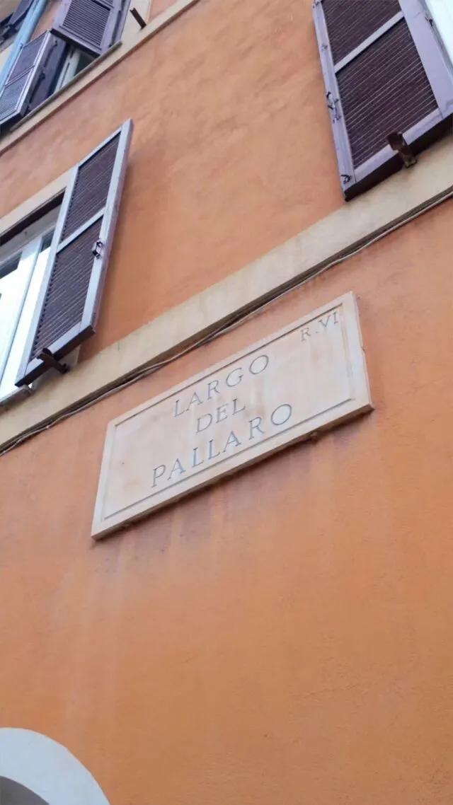 BookNoFees: Kafejnīca – Le Tartarughe – Rome – Bruņurupuči, foto 2