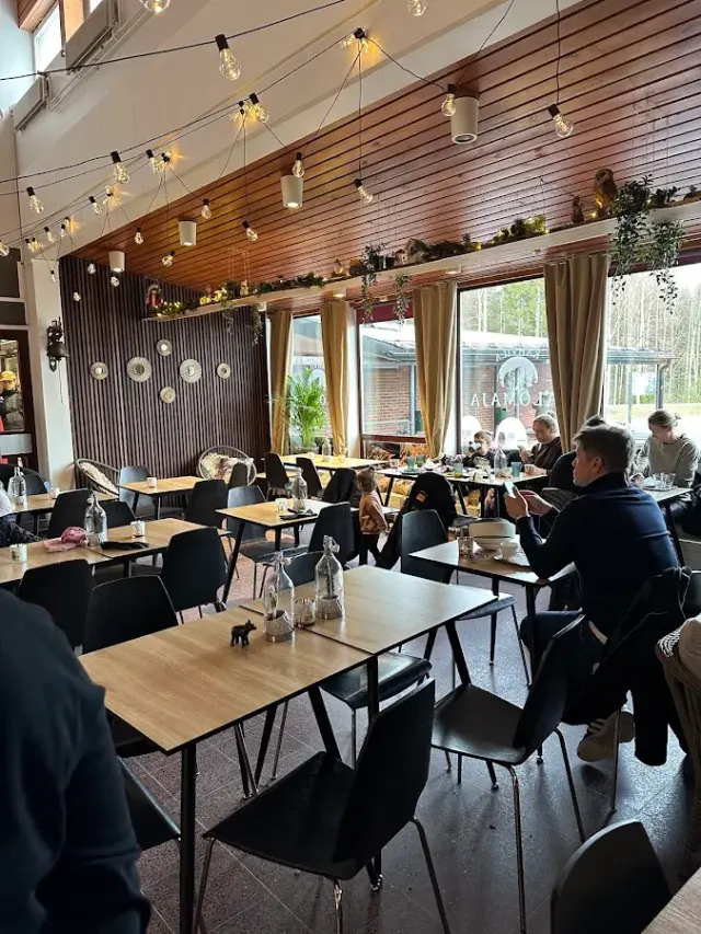 BookNoFees: Kahvila Palomaja, Helsinki