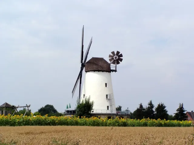 BookNoFees: Restaurant Braumühle am Alten Hellweg, Erwitte