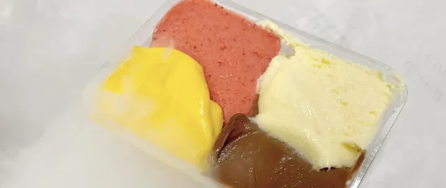 BookNoFees: Saldējums – Gelateria Fassi – Rome – Fassi saldējuma veikals, foto 3